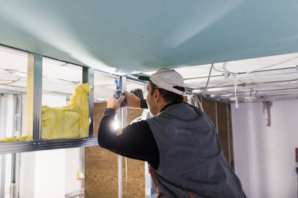 Best Insulation Removal  in Waynesboro, PA